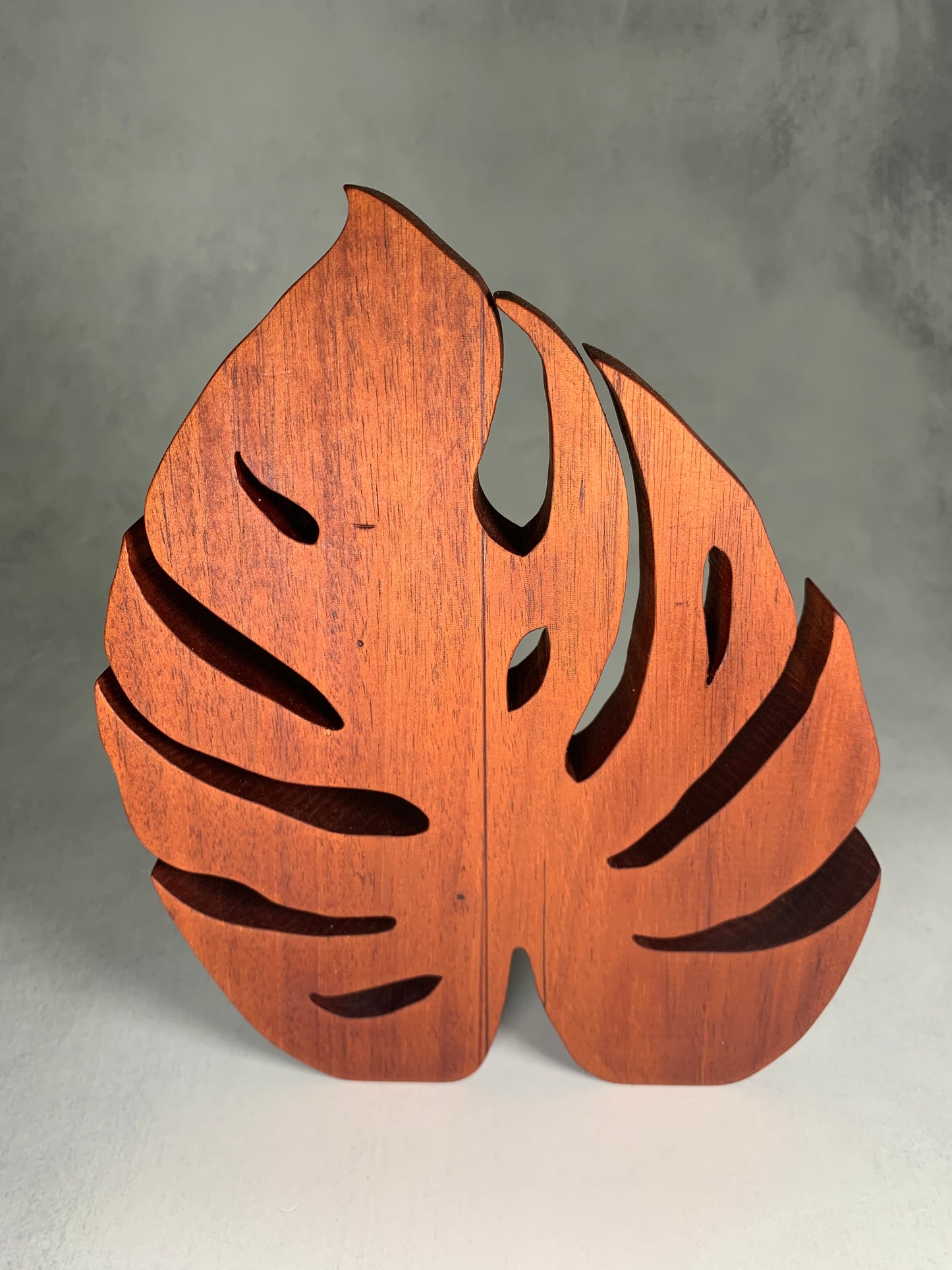 groveland monstera leaf