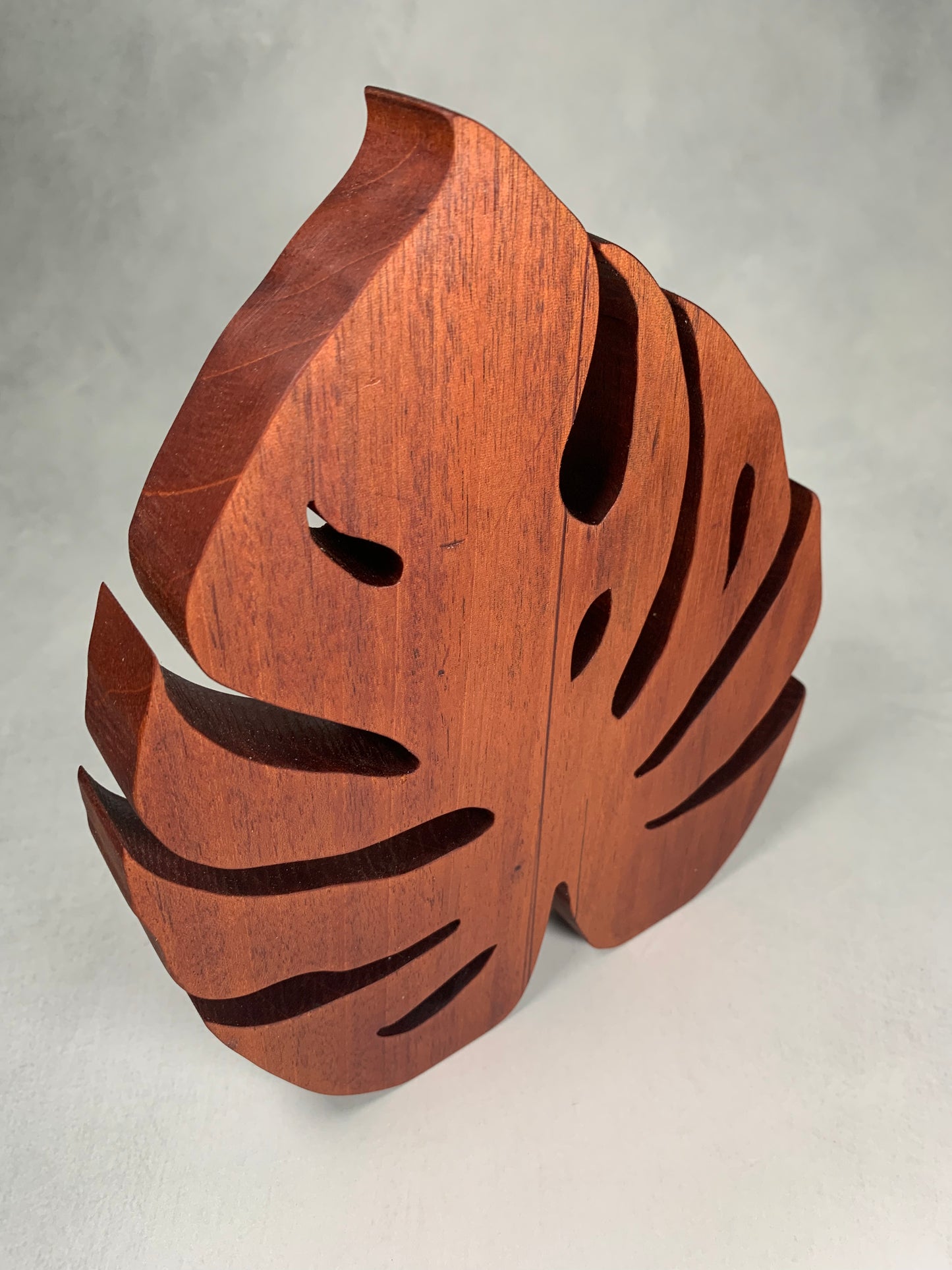 groveland monstera leaf