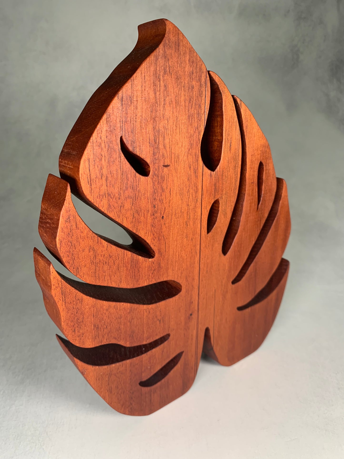 groveland monstera leaf