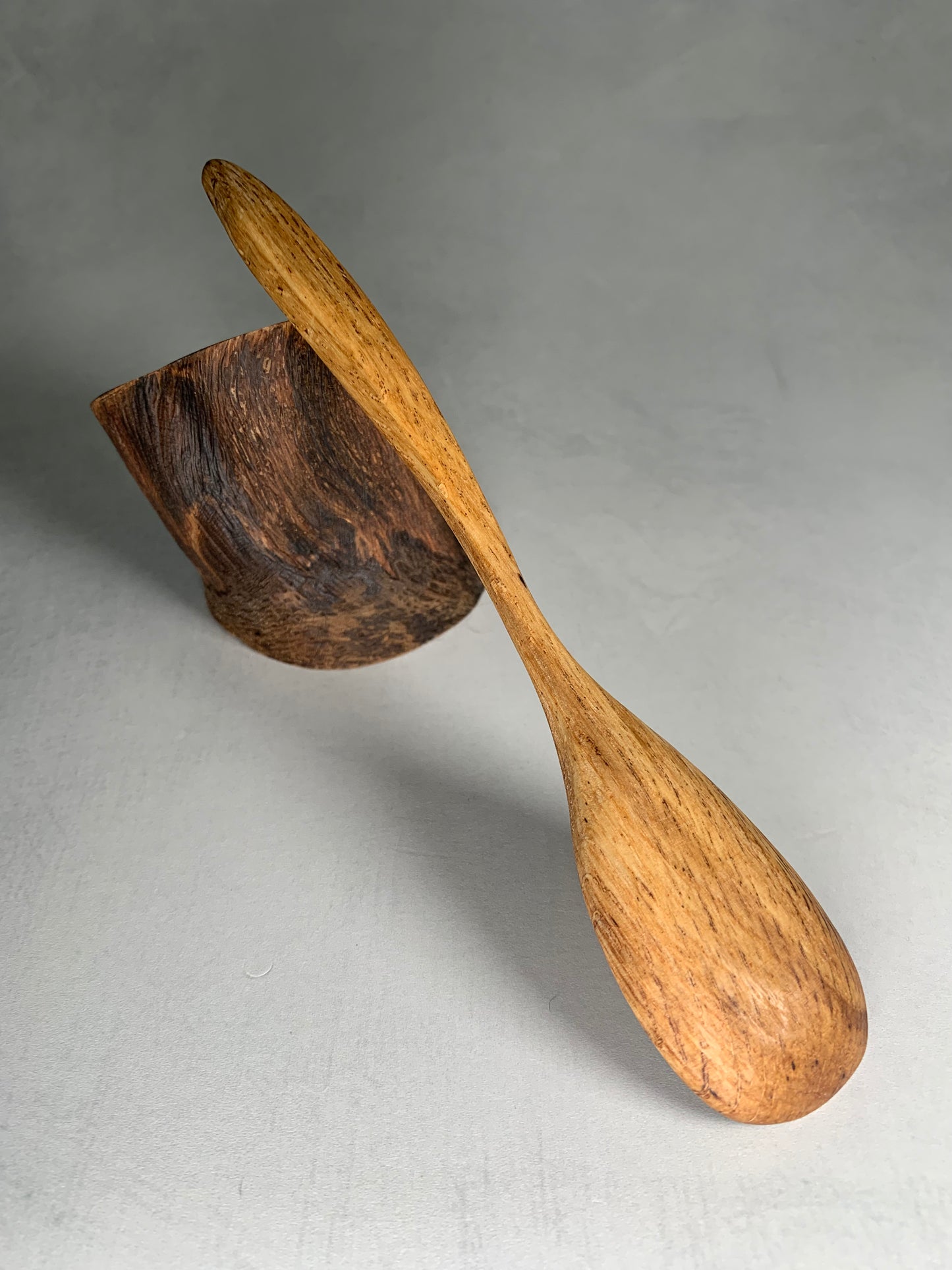ormond beach spoon