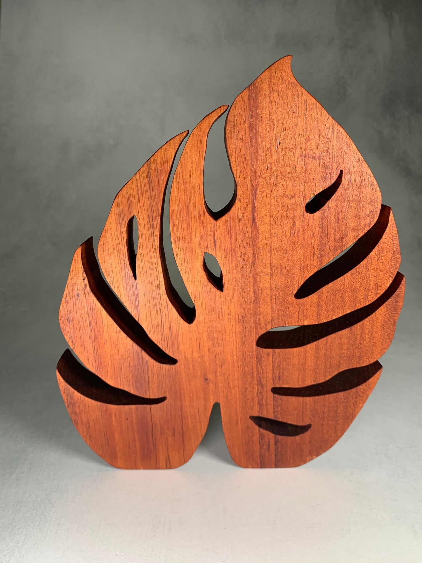 groveland monstera leaf
