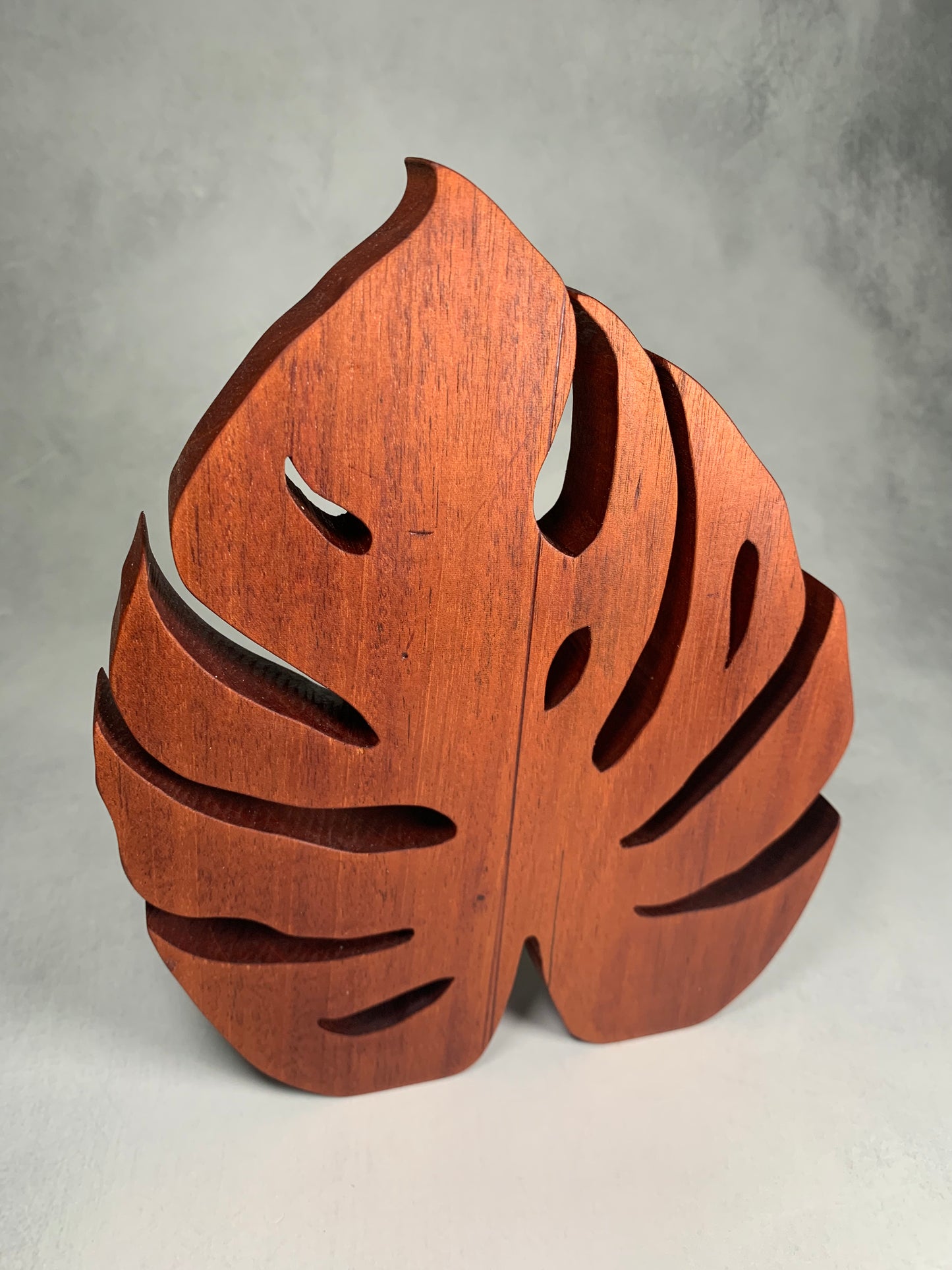 groveland monstera leaf